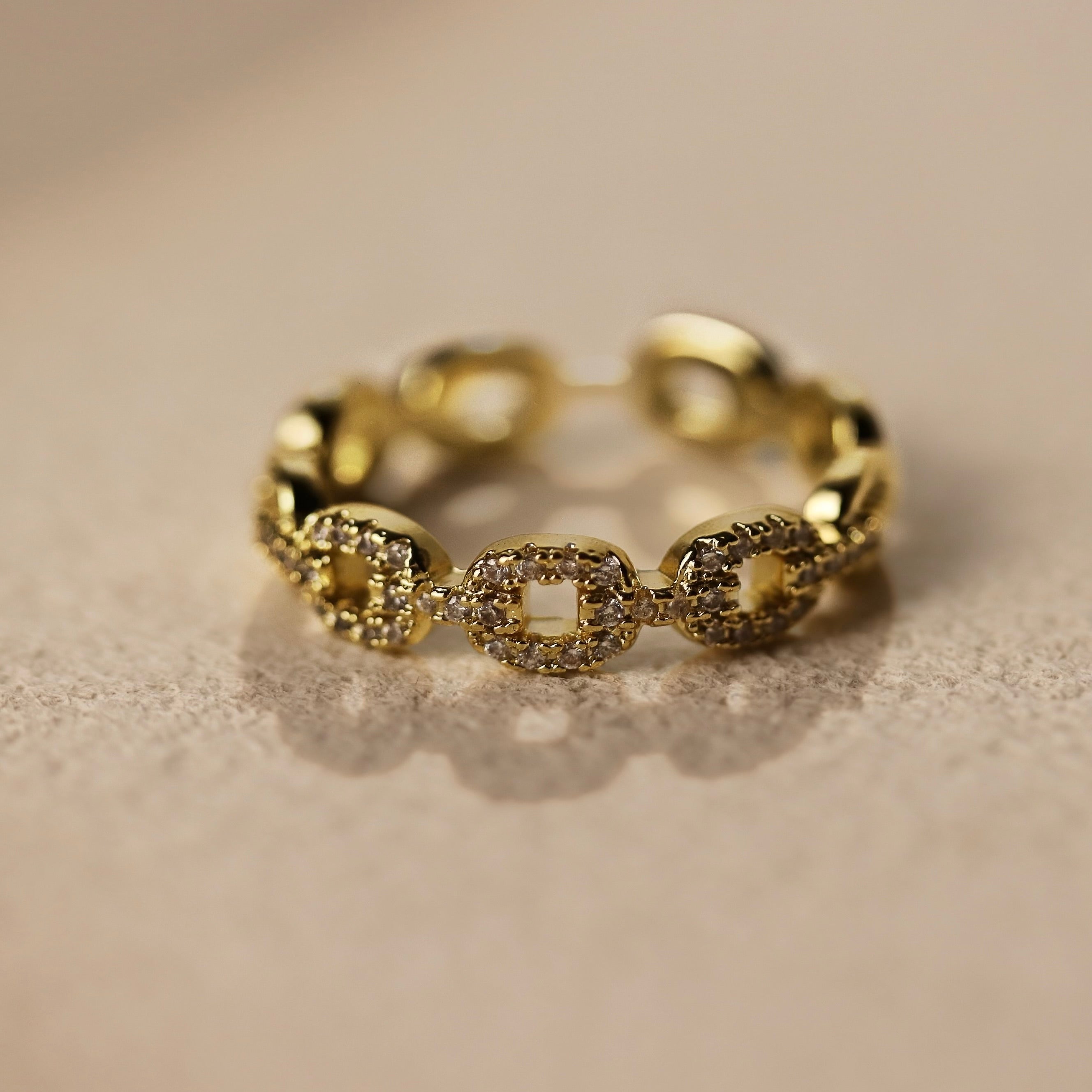 Chain Ring