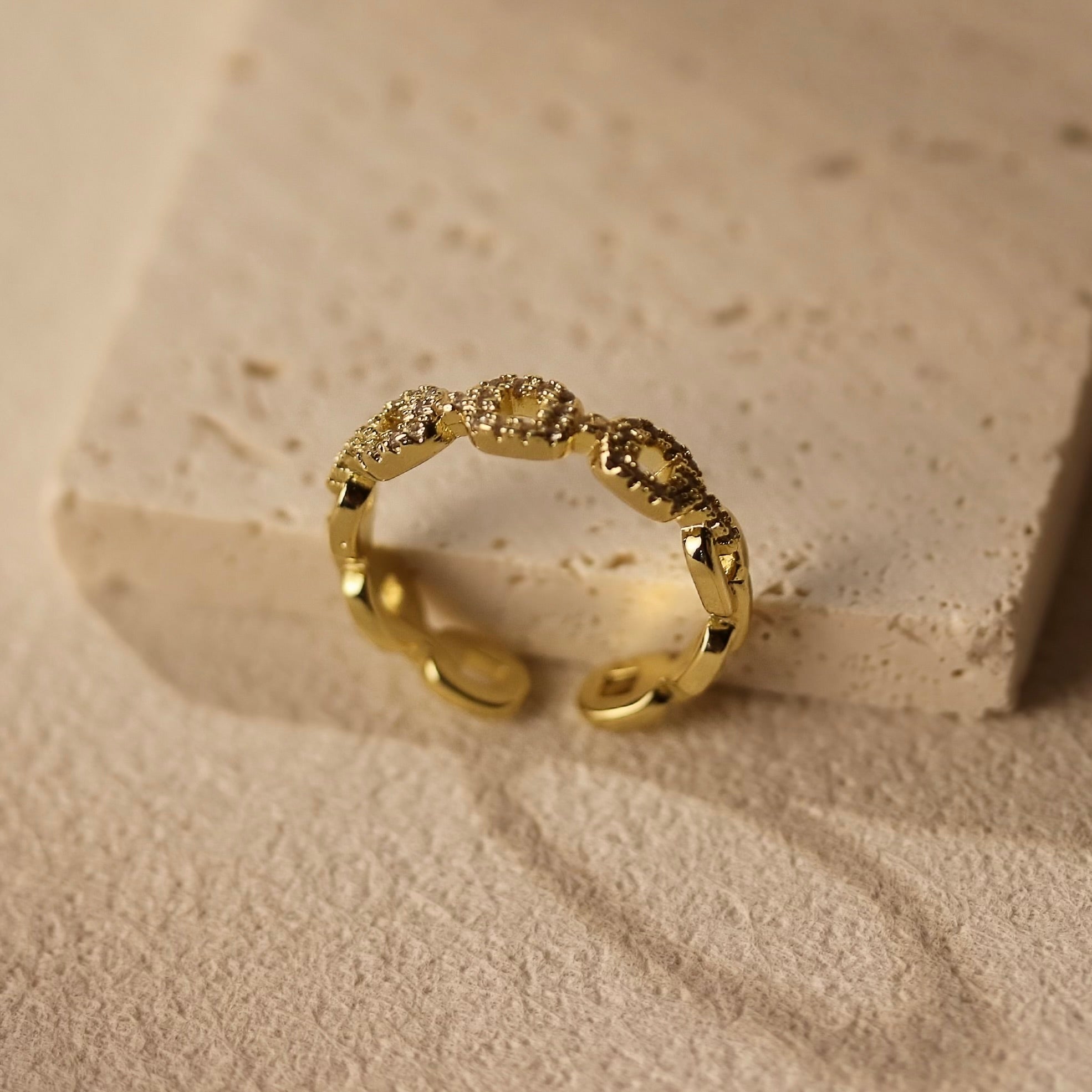 Chain Ring