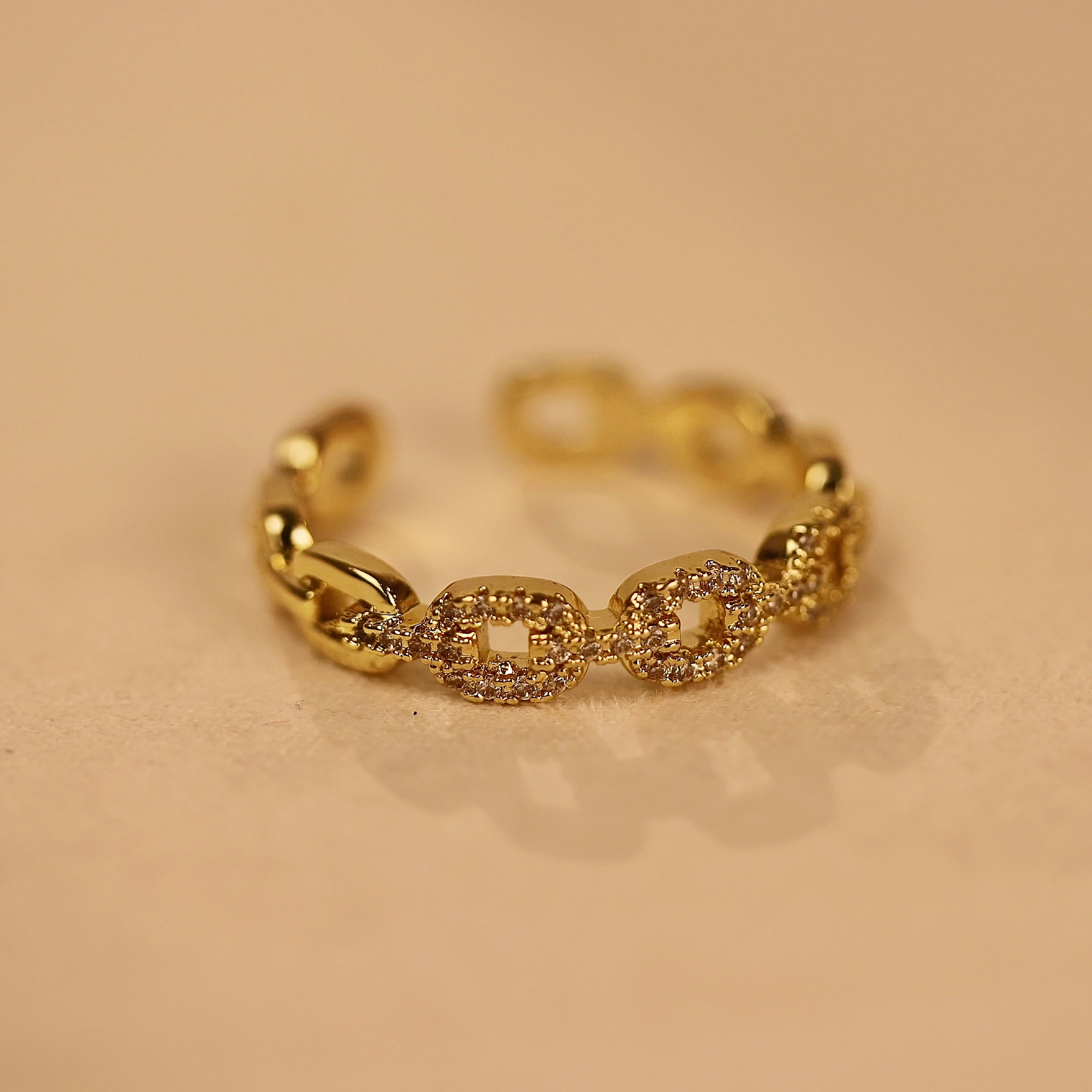 Chain Ring